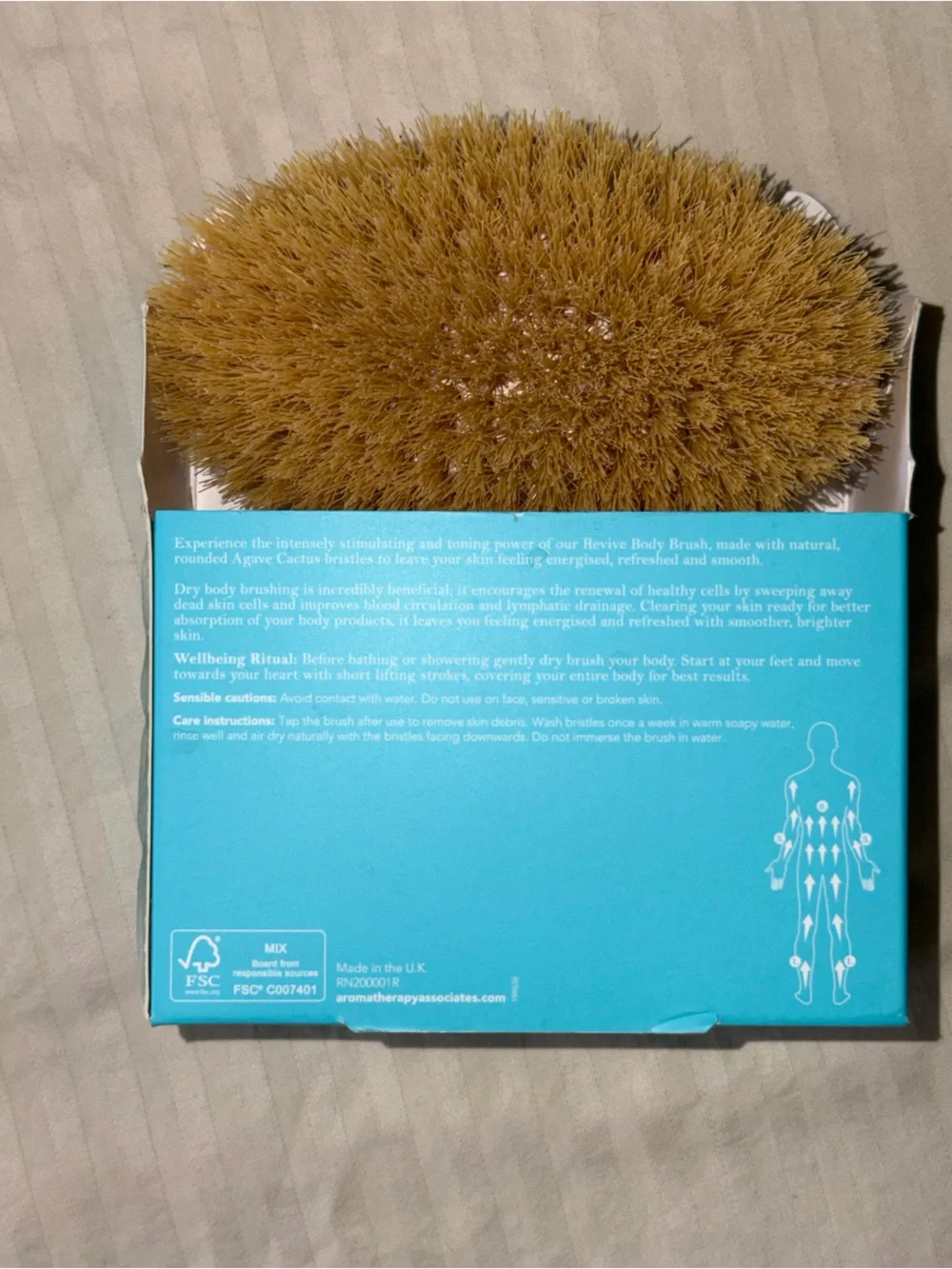 NWT Wooden Dry Brush - Cactus Bristles